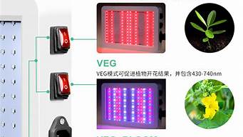 大棚led灯 RGB LED灯珠