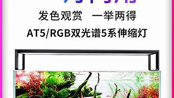 尼特利rgb灯怎么样 尼特利是什么灯珠